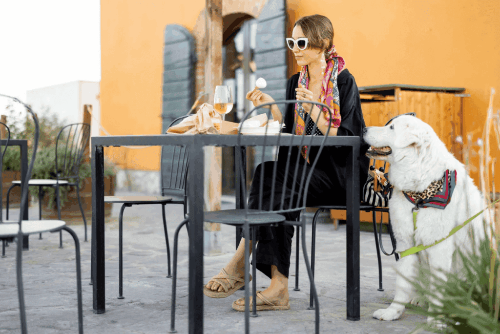 Ta med hund på restaurang